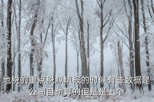 為什么重點稅源是上個月的數(shù)據(jù)，地稅的重點稅源填報的時候有些數(shù)據(jù)是公司自動算的但是是上個