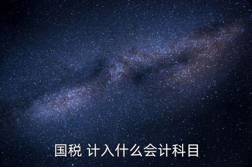 國稅申報(bào)記入什么科目，付國稅應(yīng)計(jì)入什么科目求解啊
