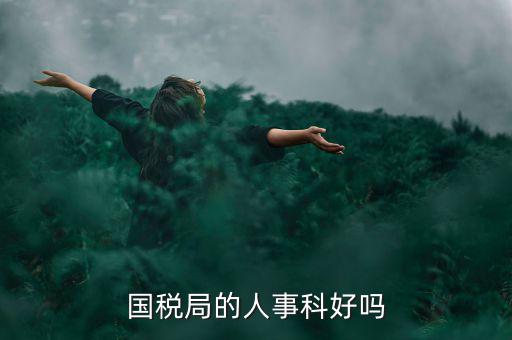 國稅人事科做什么，縣國稅局的人事歸哪里管基層分局的級別