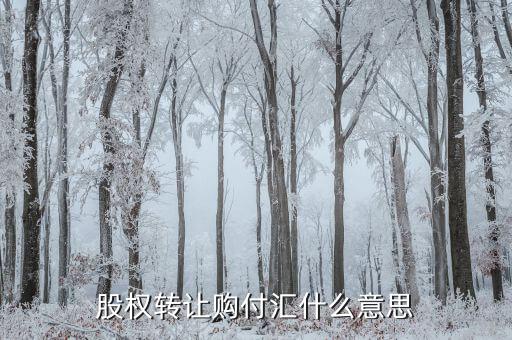 什么是售付匯，股權(quán)轉(zhuǎn)讓購(gòu)付匯什么意思