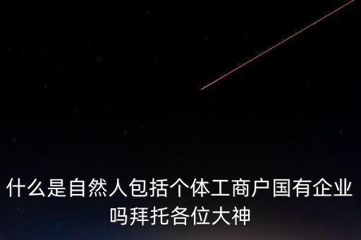 稅務(wù)上的自然人指的是什么，申請人為自然人的是什么意思