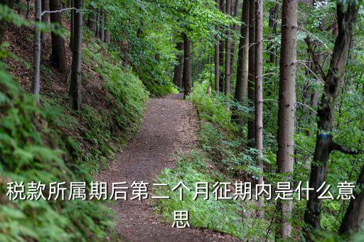 11月份征期是什么意思，稅款所屬期后第二個月征期內(nèi)是什么意思