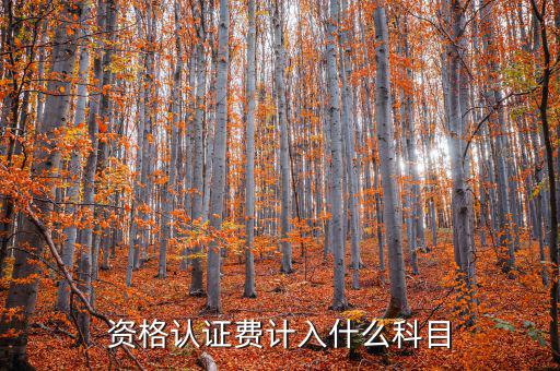 認證服務費什么，申請微信公眾賬號認證服務費什么意思