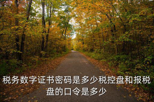 寧波國稅ca密碼是什么，寧波市電子稅務(wù)局登陸密碼