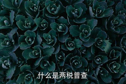 兩稅普查是什么意思，進(jìn)口兩稅是什么