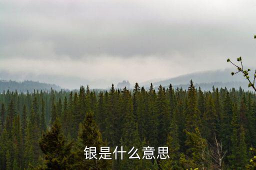 財稅庫銀是什么意思，銀是什么意思