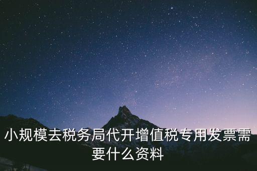 小規(guī)模去稅務(wù)局代開(kāi)增值稅專用發(fā)票需要什么資料