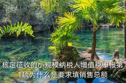 為什么要填增值稅申報(bào)，為什么公司老是要申報(bào)稅