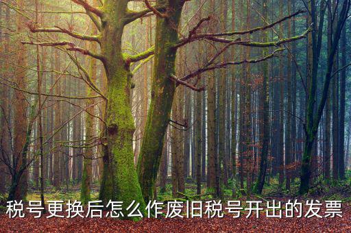 變稅號需要做什么，稅號更換后怎么作廢舊稅號開出的發(fā)票