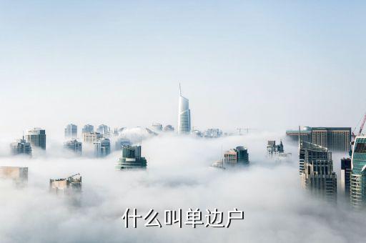 什么是國(guó)稅單邊戶，什么叫單邊戶
