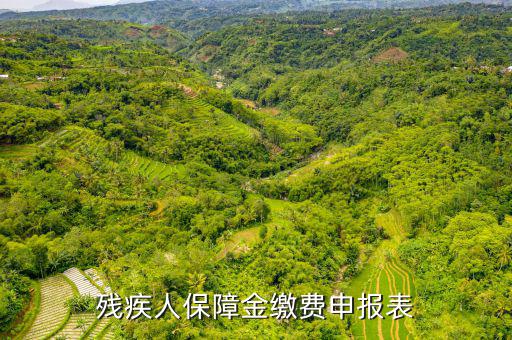 繳納殘疾人保障金 什么是104報表，什么叫104表