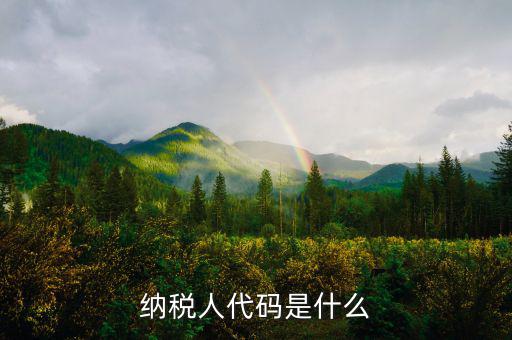 個人納稅人代碼是什么，納稅人代碼是什么