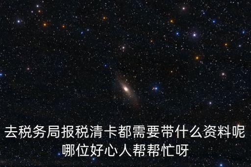 打稅務(wù)清單需要帶什么，我是個體商戶營業(yè)執(zhí)照掉了想去打印一份稅務(wù)清單需要帶些什么