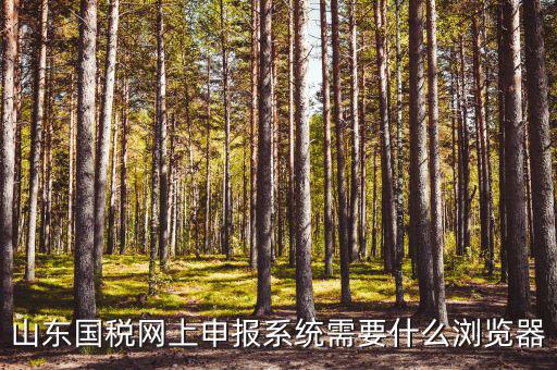 國(guó)稅網(wǎng)站用什么瀏覽器，山東國(guó)稅網(wǎng)上申報(bào)系統(tǒng)需要什么瀏覽器