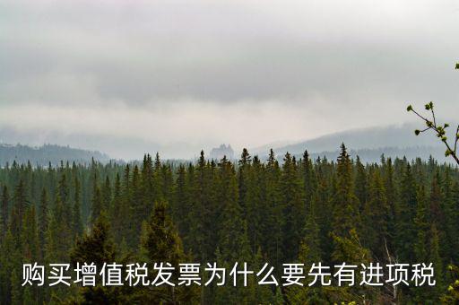 為什么要買進(jìn)項票，購買增值稅發(fā)票為什么要先有進(jìn)項稅