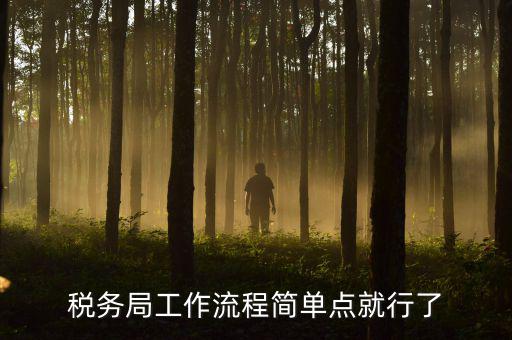 稅務(wù)局上班要什么手續(xù)，稅務(wù)局工作流程簡(jiǎn)單點(diǎn)就行了