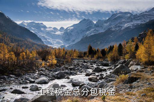 凈稅收中的總稅是什么，簡明的說下增值稅附加稅等各項稅款