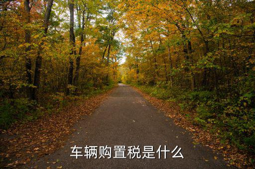 車購稅資金是什么，購置稅是什么