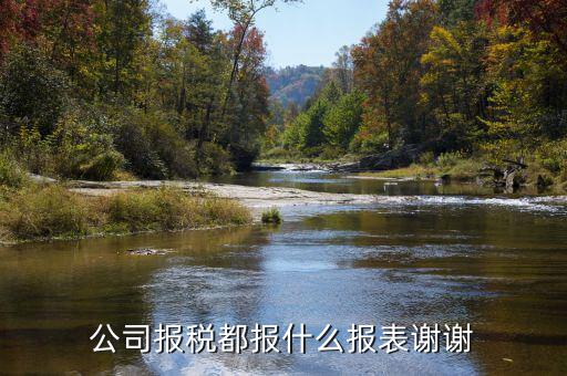 公司報(bào)稅年報(bào)都報(bào)什么，我公司是B類(lèi)核定征收的一般納稅人現(xiàn)在年報(bào)需要年報(bào)哪些內(nèi)容求