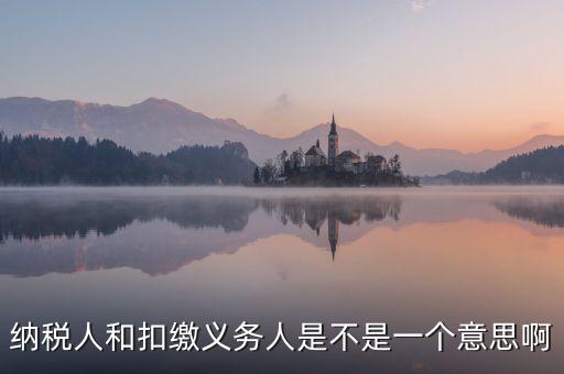 稅務(wù)人是什么，什么是納稅義務(wù)人