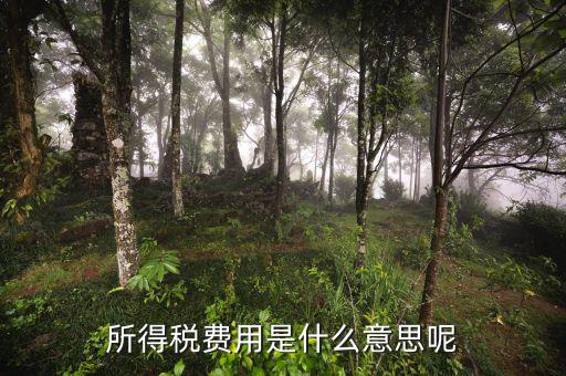 所得稅支出什么意思，企業(yè)所得稅是什么意思