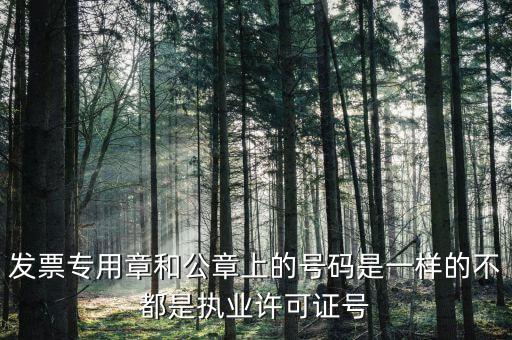 公章和發(fā)票章號碼是什么，發(fā)票專用章和公章上的號碼是一樣的不都是執(zhí)業(yè)許可證號