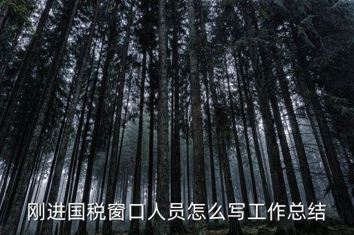 在國(guó)稅上班有什么感想，我是合同員工到國(guó)稅局上班一個(gè)月心得體會(huì)