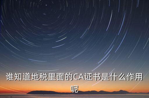 地稅安徽ca是什么意思，什么是國稅CA和地稅CA他是具體干什么用的