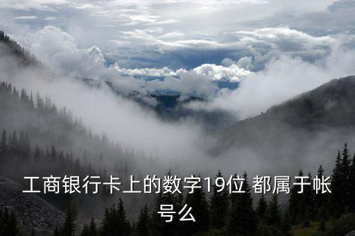 工行19位賬號應(yīng)用號是什么，請解釋工商銀行19位帳號的組成含義