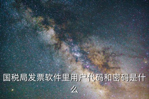 發(fā)票認證平臺登錄密碼是什么情況，國稅局發(fā)票軟件里用戶代碼和密碼是什么