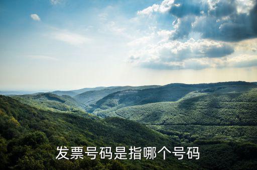 什么是發(fā)票的查詢號(hào)，發(fā)票號(hào)碼是指哪個(gè)號(hào)碼