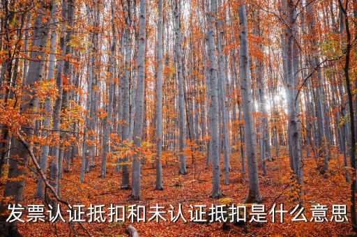 稅收抵免是什么，出口免稅是什么意思