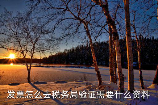 到稅務(wù)局認證發(fā)票需要帶什么，去稅務(wù)局認證發(fā)票需要帶什么資料呢