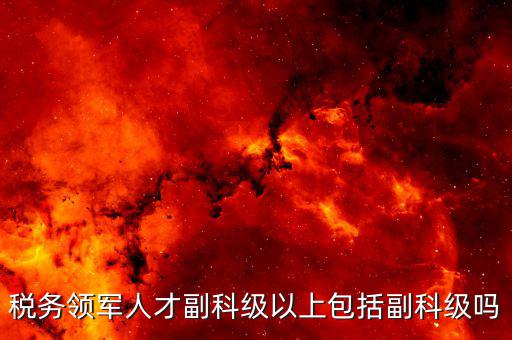 國稅領軍人才考什么用，稅務領軍人才副科級以上包括副科級嗎