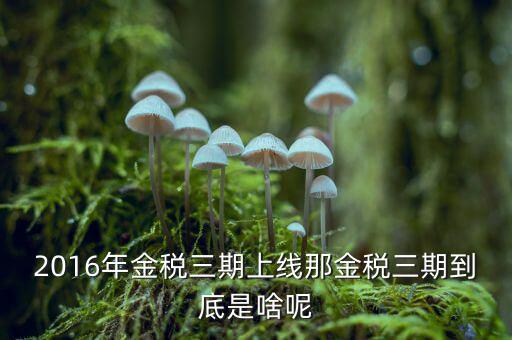 金稅三期雙軌是什么，金稅三期是什么意思