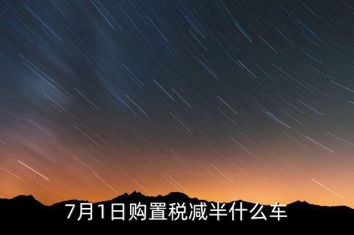 車稅減半針對什么車，101以后購車附加費(fèi)減半 包含哪些車型