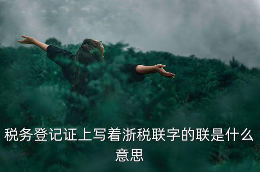 稅務(wù)全國聯(lián)網(wǎng)是什么意思，稅務(wù)登記證上寫著浙稅聯(lián)字的聯(lián)是什么意思