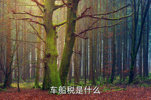 摩托車(chē)車(chē)船稅是什么，摩托車(chē)也收車(chē)船稅嗎