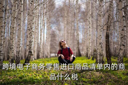 跨境電商應(yīng)交什么稅，跨境電商要繳納哪些稅
