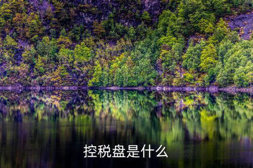 什么是金稅盤 什么是稅控盤，稅控盤的介紹