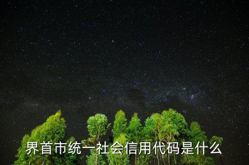 統(tǒng)一社會(huì)信用代碼指什么，深圳碼統(tǒng)一社會(huì)信用代碼是什么