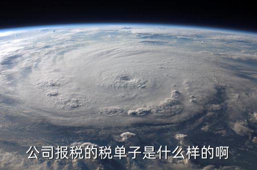 稅務(wù)清單是什么樣的，公司報(bào)稅的稅單子是什么樣的啊