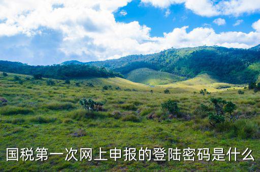 浙江國稅登入密碼是什么意思，稅務局網站的登入賬戶初始密碼是什么