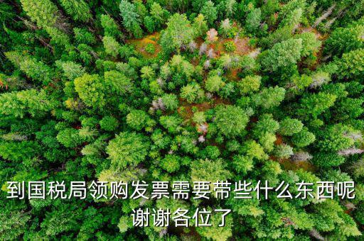 到國(guó)稅局領(lǐng)購(gòu)發(fā)票需要帶些什么東西呢謝謝各位了