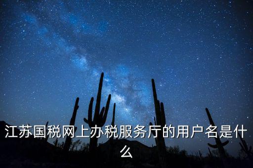 江蘇國稅用戶名密碼是什么，江蘇國稅網(wǎng)上辦稅服務(wù)廳的用戶名是什么