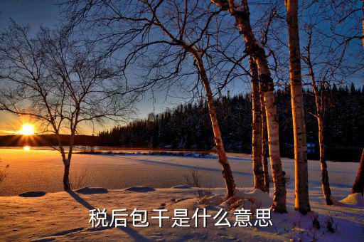 稅干是什么意思，干稅是什么意思