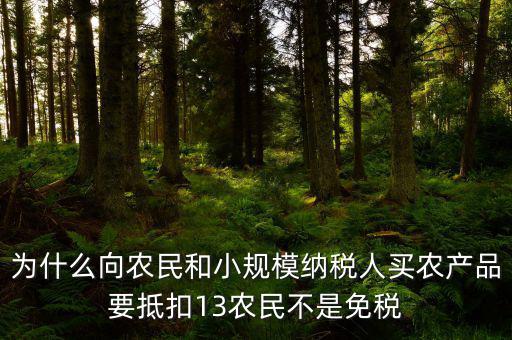 農(nóng)產(chǎn)品為什么要扣除，為什么向農(nóng)民和小規(guī)模納稅人買農(nóng)產(chǎn)品要抵扣13農(nóng)民不是免稅