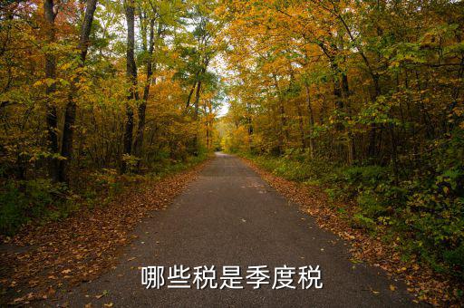 按季度交什么稅，哪些稅是季度稅