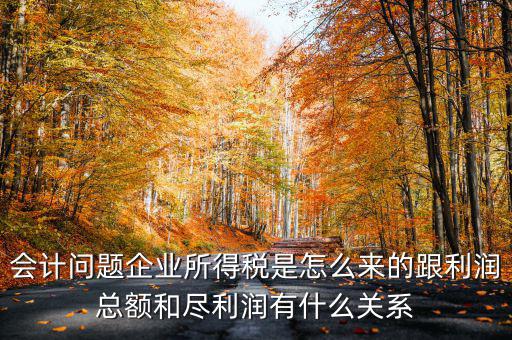 企業(yè)所得稅和什么有關，增值稅和企業(yè)所得稅有關系么