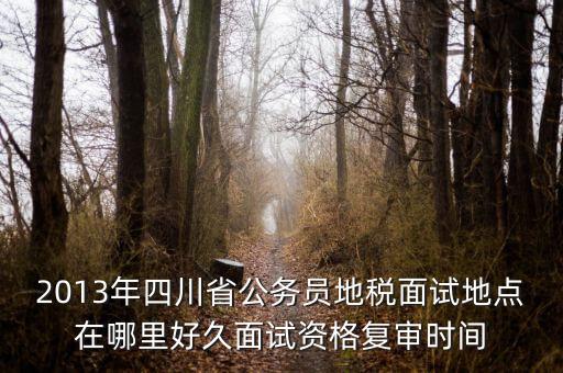 2016年四川地稅資格復(fù)審什么時候，大概什么時候資格復(fù)審啊